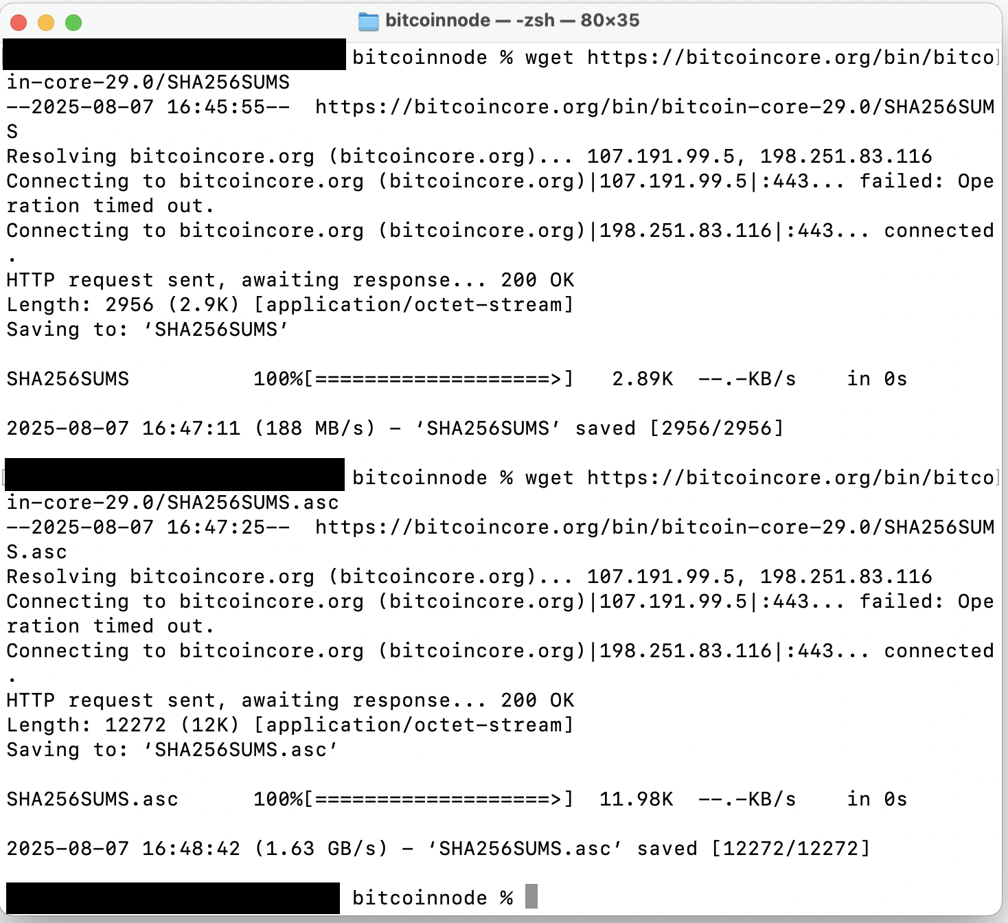 Terminal showing verification files download command execution